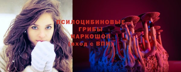 ECSTASY Медвежьегорск