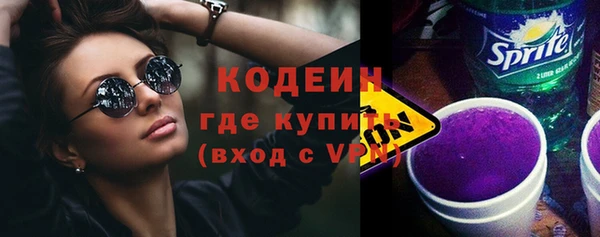 крисы Мегион