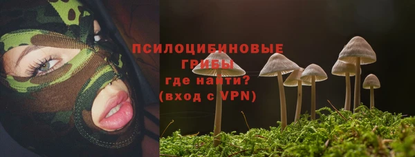 ECSTASY Медвежьегорск
